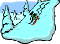 skiwald skiwald