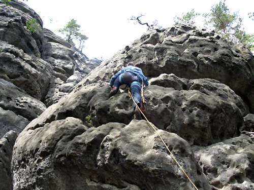 Auerhahn