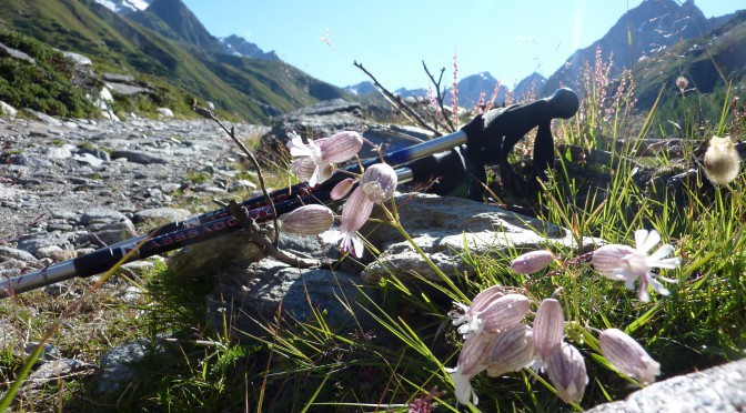 Meraner Höhenweg 2010